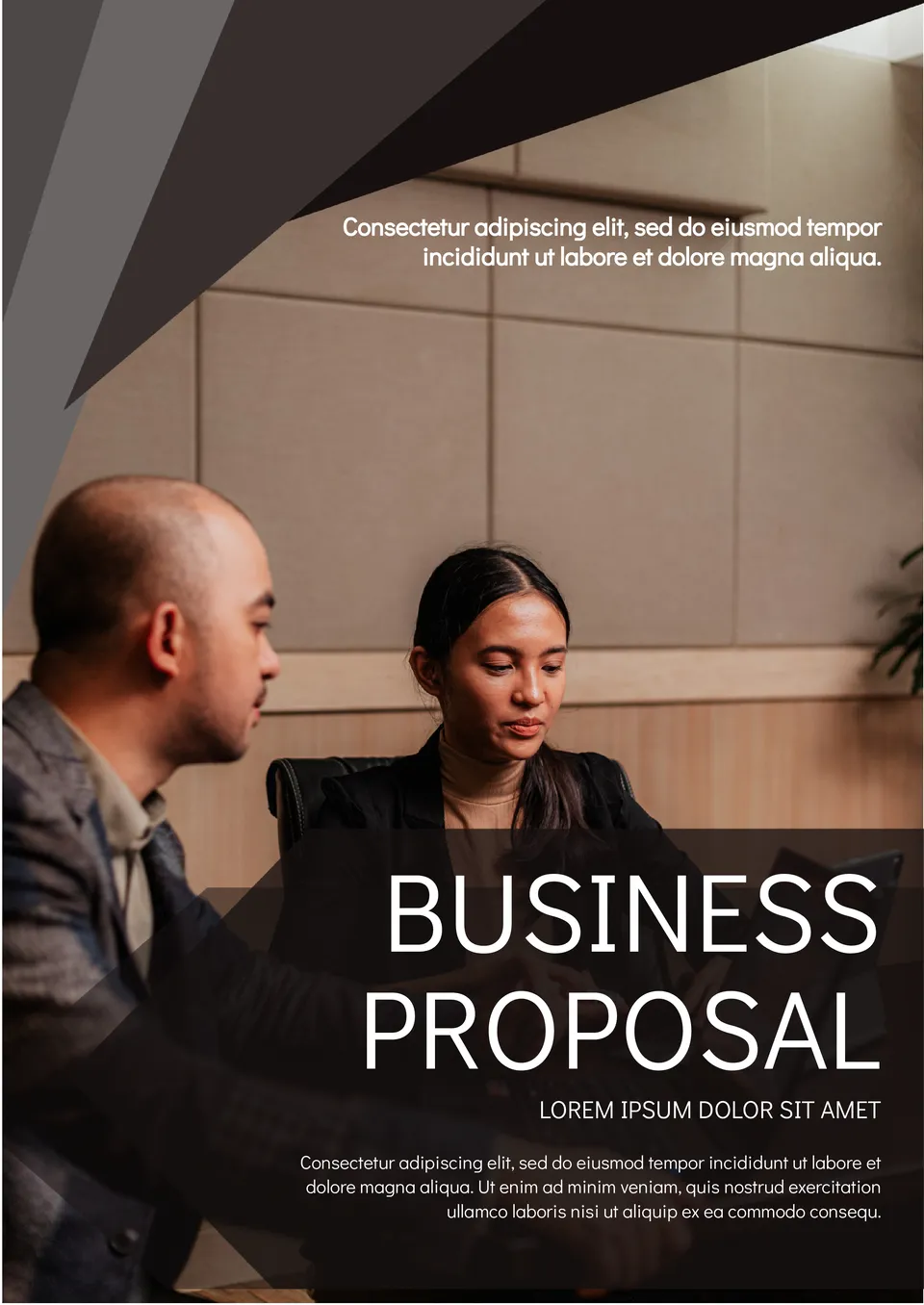 Business Proposal Template